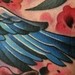 tattoo galleries/ - blue bird - 53142